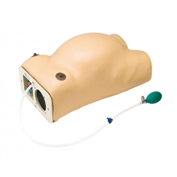 Erler Zimmer Pregnancy Examination Model with Heartbeat Simulation