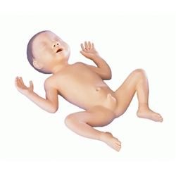 Erler Zimmer Premature Infant Model (30 Week Old Boy)