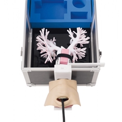 Erler Zimmer Ultrasonic Bronchoscopy Simulator