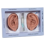 3B Scientific 3B Ear Set, One Left and Right Ear