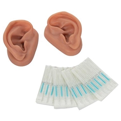 3B Scientific Acupuncture Ears, Set for 10 Students