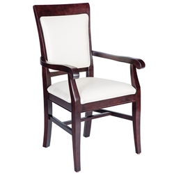 Novum Medical Contemporary Dining Chairs with Arms