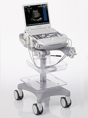 ACUSON P300 Ultrasound System