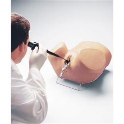 Erler Zimmer Hysteroscopy Simulator