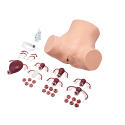 Erler Zimmer Zoe Gynecological Skills Trainer