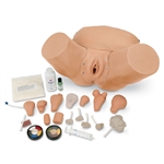 Erler Zimmer Advanced Pelvic Examination and Gynecological Simulator