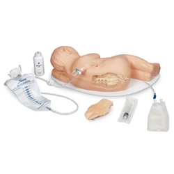 Erler Zimmer Pediatric Caudal Injection Simulator
