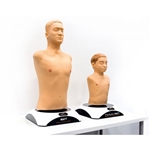 Erler Zimmer Auscultation Simulator Matt