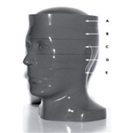 RSD Computed Tomography Head Phantom (5 Slices)