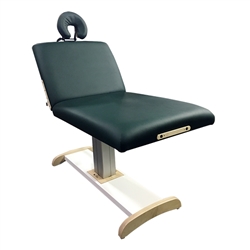 Pivotal Health Classic Series Majestic Lift Back Electric Table