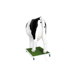 Erler Zimmer Advanced Simulator for Artificial Insemination (AI) of The Cow