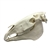 Erler Zimmer Horse Skull