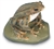 Common Toad Model (Male)