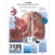 3B Scientific COPD Chart, Chronic Obstructive Pulmonary Disease