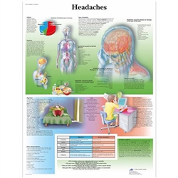 3B Scientific Headaches Chart