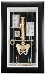 Spine in Wall Display