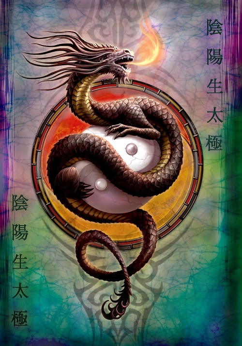 Yin Yang Protector Card - 6 Pack by Anne Stokes