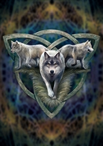 Wolf Trio Card - 6 Pack