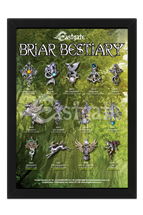 Briar Bestiary Display Frame