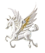 Pegasus of the Stars for Quick Thought & Creativity by Anne Stokes