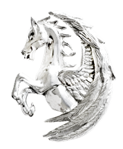 Pegasus Fortuna for Surmounting Obstacles by Anne Stokes