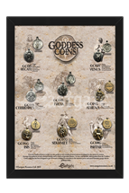 Goddess Coins Display Board