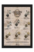 Goddess Coins Display Board