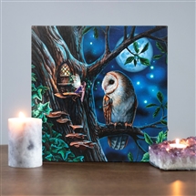 Fairy Tales Light Up Canvas Print by Lisa Parker