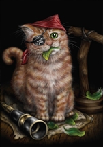 Pirate Kitten Card - 6 pack