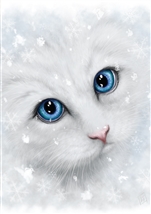 Winter Cat Card - 6 pack