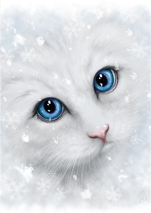 Winter Cat Card - 6 pack