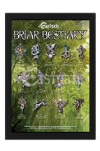 Briar Bestiary Starter Set and Display