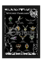 Witches Familiar Starter Set + Display