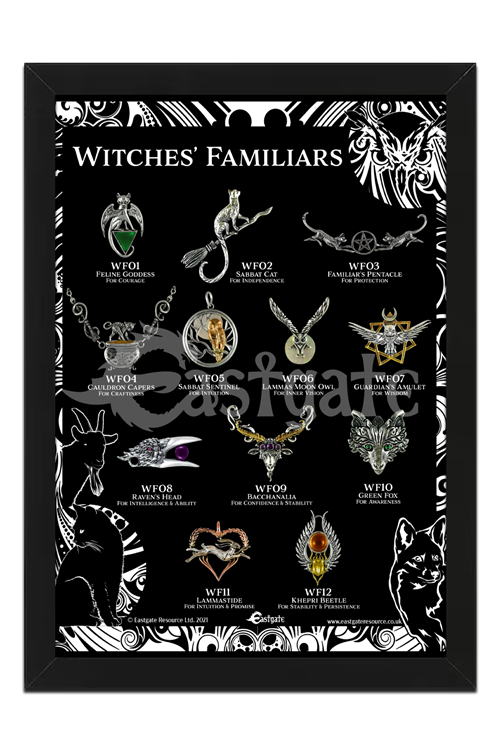 Witches Familiar Display