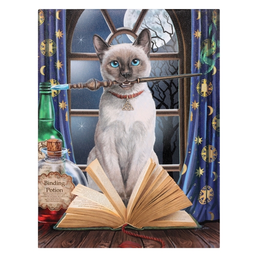 Hocus Pocus Cat Canvas Art Print by Lisa Parker