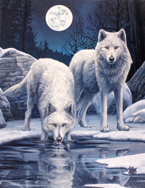 Winter Warrior Canvas Art Print by Lisa Parker
