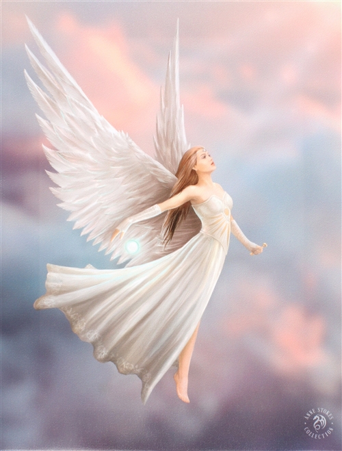 Ascendance Angel Canvas Art Print by Anne Stokes