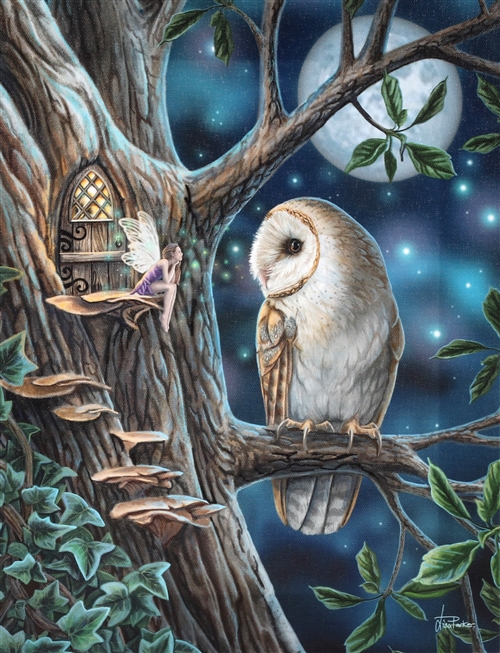 Fairy Tales Canvas Art Print by Lisa Parker