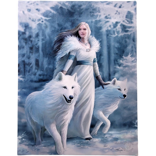 Winter Guardian Canvas Art Print By Anne Stokes