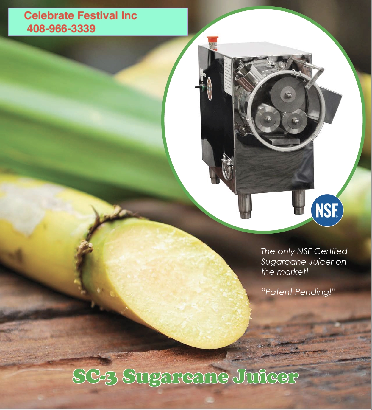 NSF Certified SugarCane Juice Machine - 110 V by Celebrate Festival Inc