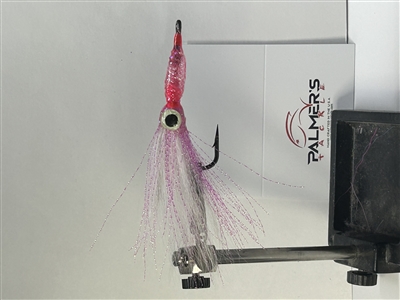 Longshank Squid