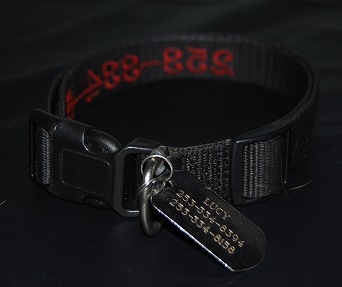 Pet Collar Solid