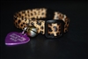 Pet Collars Pattern