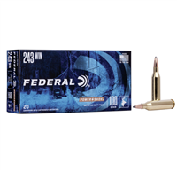 .243 WIN / 100 GR JSP POWER-SHOKÂ® / 20 RDS  / FEDERAL **NO LIMITS**