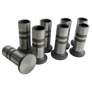 VW Valve Lifters