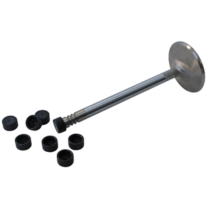 1522 Hardened Valve Caps (set of 8)