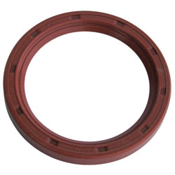 VW Rear Main Seal