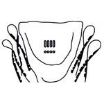 5870 Complete Body Gasket Set - Type-1 Sedans '54-67