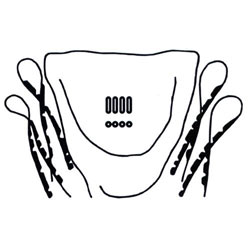 5870 Complete Body Gasket Set - Type-1 Sedans '54-67