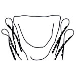 5871 Complete Body Gasket Set (Sedans '68-on)